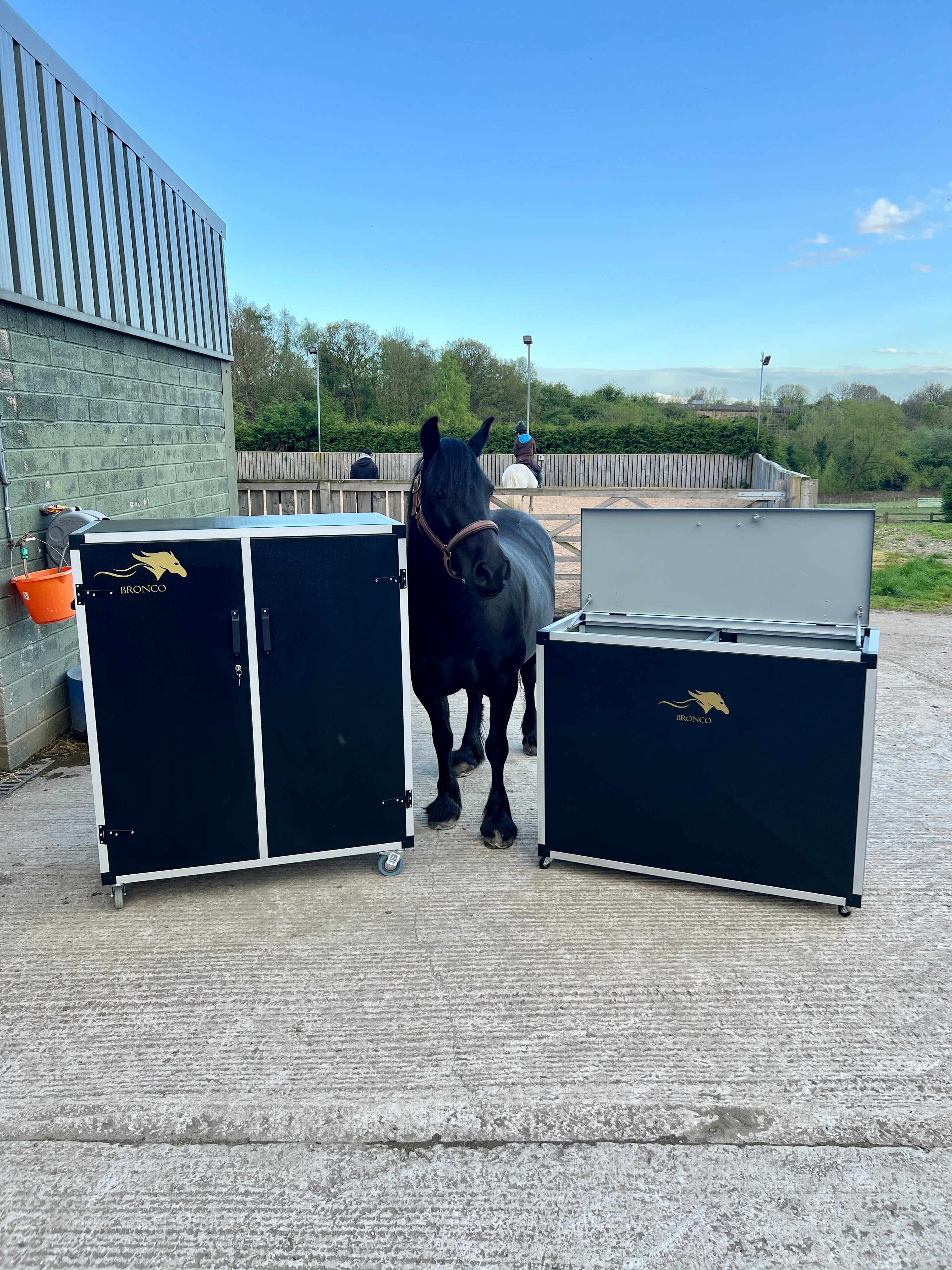 Catalog Bronco Horse Supplies