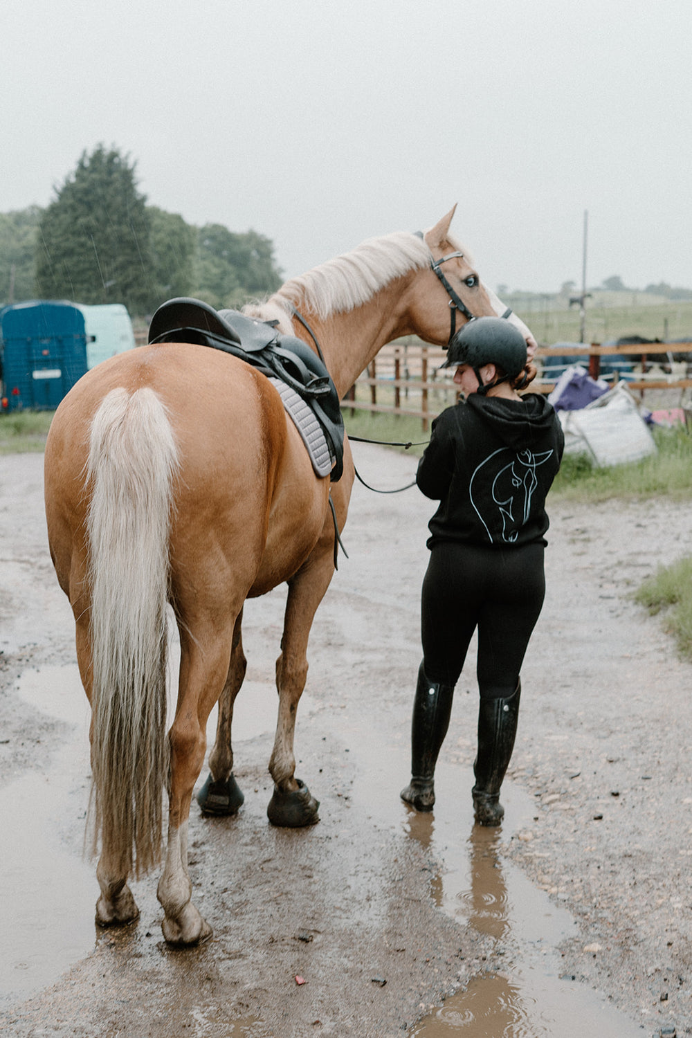 Catalog Bronco Horse Supplies